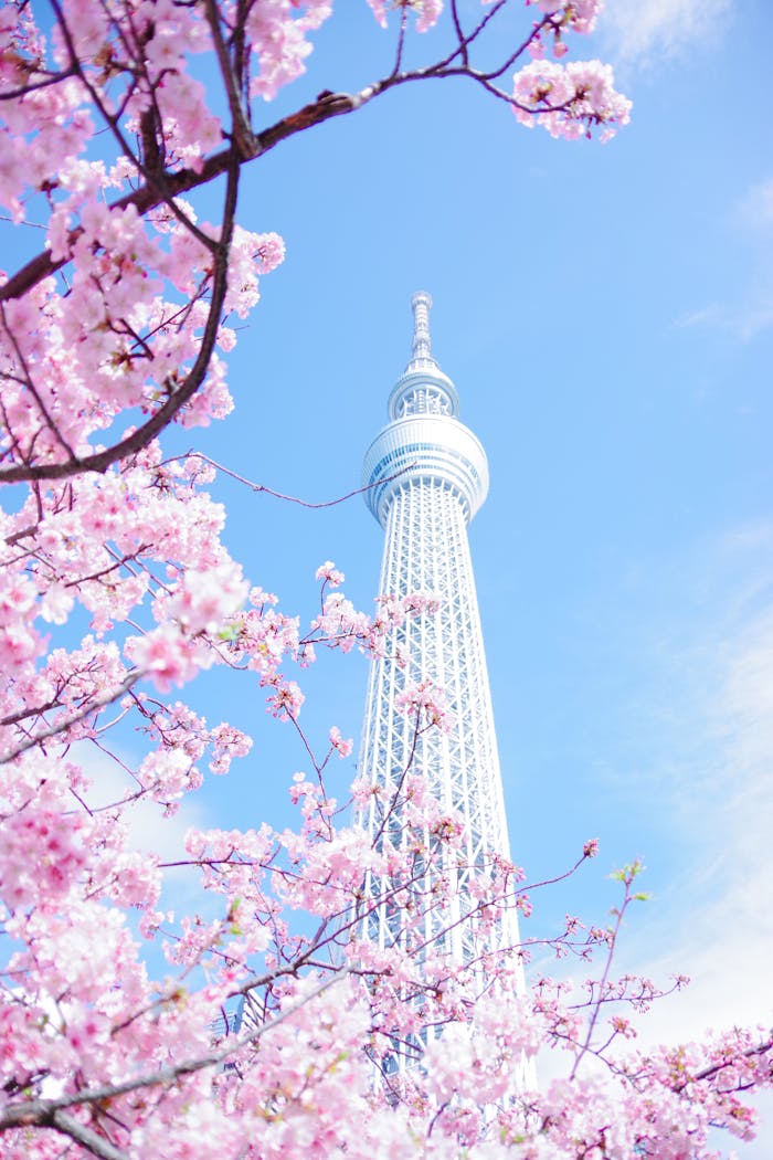 test-02